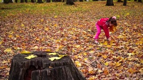 Kleines Mädchen, das Herbstlaub im Park erfasst stock video Kleines Mädchen, das Herbstlaub im Park erfasst stock video