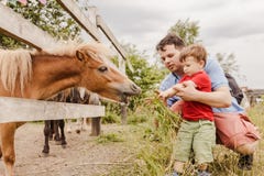 Kleinkindjunge und sein Vater, die ein Pony am Bauernhof einziehen lizenzfreies stockfoto Kleinkindjunge und sein Vater, die ein Pony am Bauernhof einziehen lizenzfreies stockfoto