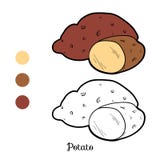 Kleurend boekspel: vruchten en groenten (aardappel) royalty-vrije illustratie Kleurend boekspel: vruchten en groenten (aardappel) royalty-vrije illustratie