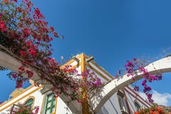 Kleurrijke overwoekerde huizen in Puerto DE Mogan met exemplaarruimte royalty-vrije stock fotografie Kleurrijke overwoekerde huizen in Puerto DE Mogan met exemplaarruimte royalty-vrije stock fotografie