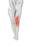 Knee pain, woman with legs ache, chiropractic treatments concept with highlighted skeleton isolated on white background stock image Knee pain, woman with legs ache, chiropractic treatments concept with highlighted skeleton isolated on white background stock image