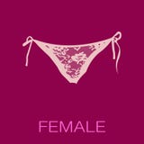 Knickers λογότυπο καταστημάτων απεικόνιση αποθεμάτων Knickers λογότυπο καταστημάτων απεικόνιση αποθεμάτων