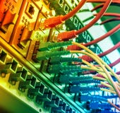 Knyter kontakt optiska kablar för fiber förbindelse till optiska portar och UTP kablar arkivfoton Knyter kontakt optiska kablar för fiber förbindelse till optiska portar och UTP kablar arkivfoton