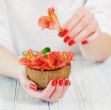 Kobiet ręki z pięknym czerwonym manicure'em na paznokciach obrazy stock Kobiet ręki z pięknym czerwonym manicure'em na paznokciach obrazy stock