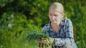 Kobieta trzyma zielone cebule ogrodowe od ona zdjęcie wideo Kobieta trzyma zielone cebule ogrodowe od ona zdjęcie wideo