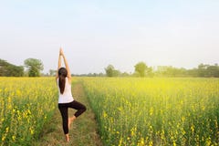 Kobiety joga medytaci kwiatu pole Obrazy Stock Kobiety joga medytaci kwiatu pole Obrazy Stock