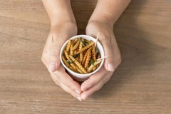 Kobiety ręka trzyma rozporządzalną filiżankę który smażył crispy dla oddalonego zawierający Bambusowego Caterpillar, dżdżownica K zdjęcia royalty free Kobiety ręka trzyma rozporządzalną filiżankę który smażył crispy dla oddalonego zawierający Bambusowego Caterpillar, dżdżownica K zdjęcia royalty free