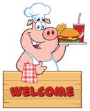 KockPig Cartoon Mascot tecken som rymmer en Tray Of Fast Food Over ett trätecken som ger upp en tumme vektor illustrationer KockPig Cartoon Mascot tecken som rymmer en Tray Of Fast Food Over ett trätecken som ger upp en tumme vektor illustrationer