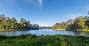 Kodaikanal See-Panorama (Prinzessin von Hügelstationen), Tamil Nadu stockfotografie Kodaikanal See-Panorama (Prinzessin von Hügelstationen), Tamil Nadu stockfotografie
