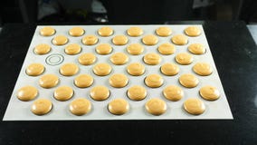Koekjes voor Franse dessertdeegwaren klaar voor baksel stock afbeelding Koekjes voor Franse dessertdeegwaren klaar voor baksel stock afbeelding