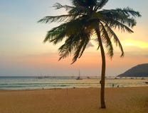 Kokosnusspalme auf Strand bei Sonnenuntergang Lizenzfreie Stockfotografie Kokosnusspalme auf Strand bei Sonnenuntergang Lizenzfreie Stockfotografie