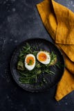 Kokt ?gg p? arugulasallad med kornbr?d p? den svarta plattan med den orange servetten fotografering för bildbyråer Kokt ?gg p? arugulasallad med kornbr?d p? den svarta plattan med den orange servetten fotografering för bildbyråer