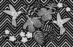 Kolibri runt om blomningen för sommar för Frangipani för blommaplumeriahibiskus den exotiska tropiska Broderimodelapp vektor illustrationer Kolibri runt om blomningen för sommar för Frangipani för blommaplumeriahibiskus den exotiska tropiska Broderimodelapp vektor illustrationer