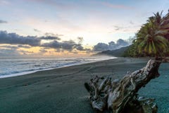 Kolorowy Plażowy zmierzch przy Corcovado parkiem narodowym, Costa Rica obraz stock Kolorowy Plażowy zmierzch przy Corcovado parkiem narodowym, Costa Rica obraz stock