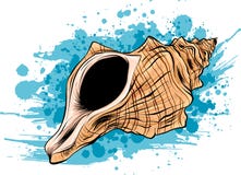 Kolorowych tropikalnych skorup ikony setu podwodna rama denne skorupy, wektorowa ilustracja Lata pojęcie z skorupami i morzem ilustracji Kolorowych tropikalnych skorup ikony setu podwodna rama denne skorupy, wektorowa ilustracja Lata pojęcie z skorupami i morzem ilustracji