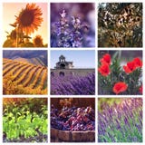Kolory Provence, Francja obraz royalty free Kolory Provence, Francja obraz royalty free
