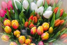 Kolorów bukiety tulipany - odgórny widok fotografia stock Kolorów bukiety tulipany - odgórny widok fotografia stock