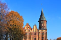 Konigsberg domkyrka i solig höstdag arkivbilder Konigsberg domkyrka i solig höstdag arkivbilder