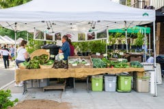 Koninginanne farmers market verkoper, Lokaal Wortelslandbouwbedrijf stock foto's Koninginanne farmers market verkoper, Lokaal Wortelslandbouwbedrijf stock foto's