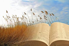 Koninkrijk van de van de gelijkenissenjesus-christus van de hemel open bijbel de gods jehovah godsdienst stock afbeelding Koninkrijk van de van de gelijkenissenjesus-christus van de hemel open bijbel de gods jehovah godsdienst stock afbeelding