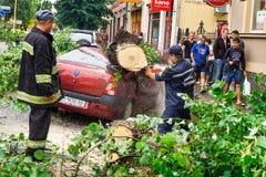 Konsekwencje huragan w Uzhgorod obraz stock Konsekwencje huragan w Uzhgorod obraz stock