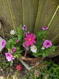 Korb der Blumen lizenzfreie stockfotos Korb der Blumen lizenzfreie stockfotos