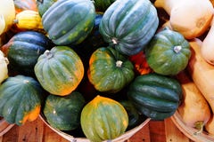 Korb des grünen und orange Eichelkürbisses im Fall lizenzfreie stockfotos Korb des grünen und orange Eichelkürbisses im Fall lizenzfreie stockfotos