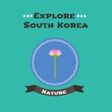 Koreanische nationale Blumenlotos-Vektorillustration vektor abbildung Koreanische nationale Blumenlotos-Vektorillustration vektor abbildung