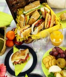 korgpicknick royaltyfria bilder korgpicknick royaltyfria bilder