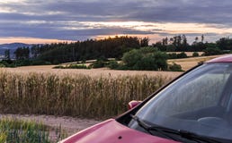 Kornfeld am Sonnenuntergang und am Auto stockfotos Kornfeld am Sonnenuntergang und am Auto stockfotos