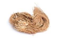 Korzenie Chrysopogon zizanioides, powszechnie zna? jako vetiver pojedynczy bia?e t?o obraz royalty free Korzenie Chrysopogon zizanioides, powszechnie zna? jako vetiver pojedynczy bia?e t?o obraz royalty free