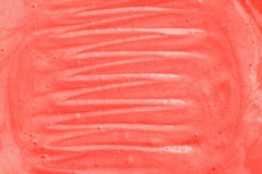 Kosmetisk textur av att rena som exfoliating, skurar för framsida och bod arkivfoto Kosmetisk textur av att rena som exfoliating, skurar för framsida och bod arkivfoto
