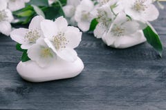 Kosmetyków mydlani i biali jaśminowi kwiaty z zielonymi liśćmi kłamają na drewnianym tle Tam? dla tw?j teksta miejsce jest zdjęcie stock Kosmetyków mydlani i biali jaśminowi kwiaty z zielonymi liśćmi kłamają na drewnianym tle Tam? dla tw?j teksta miejsce jest zdjęcie stock