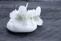 Kosmetyków mydlani i biali jaśminowi kwiaty z zielonymi liśćmi kłamają na drewnianym tle Tam? dla tw?j teksta miejsce jest fotografia royalty free Kosmetyków mydlani i biali jaśminowi kwiaty z zielonymi liśćmi kłamają na drewnianym tle Tam? dla tw?j teksta miejsce jest fotografia royalty free