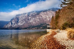 Koude de winterochtend bij het Bohinj-meer in het nationale park van Triglav stock fotografie Koude de winterochtend bij het Bohinj-meer in het nationale park van Triglav stock fotografie
