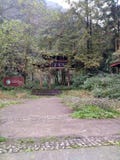 The Kowloon Gully, a scenic spot closed after the Wenchuan earthquake stock image The Kowloon Gully, a scenic spot closed after the Wenchuan earthquake stock image