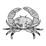 Kraba Doodle ilustracji Kraba Doodle ilustracji