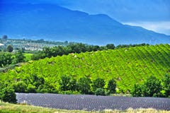 Krajobrazowy widok Calabria, Włochy obraz stock Krajobrazowy widok Calabria, Włochy obraz stock