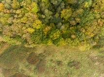 Krawędź lasowa widok z lotu ptaka jesień zdjęcie stock Krawędź lasowa widok z lotu ptaka jesień zdjęcie stock