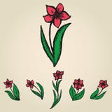 Kritzelnde Blumenblumen wie Narzissensatz Stockfotografie Kritzelnde Blumenblumen wie Narzissensatz Stockfotografie