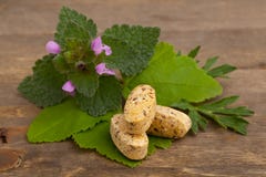 Kruidenvitamine en supplementpillen met kruiden stock afbeeldingen Kruidenvitamine en supplementpillen met kruiden stock afbeeldingen