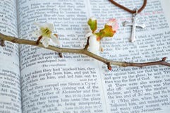 Kruis en kruisigingsscriptureachtergrond stock afbeelding Kruis en kruisigingsscriptureachtergrond stock afbeelding