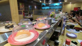 Kuala Lumpur, Malasia - 18 de julio de 2018: Platos del balanceo del sushi y del sashimi en la banda transportadora en rey Restau almacen de video Kuala Lumpur, Malasia - 18 de julio de 2018: Platos del balanceo del sushi y del sashimi en la banda transportadora en rey Restau almacen de video
