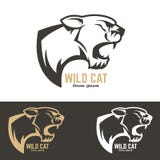 Kuguarhuvud wild katt Royaltyfria Foton Kuguarhuvud wild katt Royaltyfria Foton