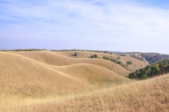 Kunst der Natur Dünen in Deliblato-Sanden stockfotos Kunst der Natur Dünen in Deliblato-Sanden stockfotos