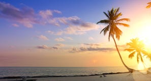 Kunstsommerferienhintergrund; Palme auf einem tropischen Strandsonnenuntergang lizenzfreie stockfotos Kunstsommerferienhintergrund; Palme auf einem tropischen Strandsonnenuntergang lizenzfreie stockfotos