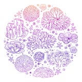 Kurenda wzór z wiele rzeczami od oceanu ilustracji Kurenda wzór z wiele rzeczami od oceanu ilustracji