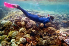 Kvinna som snorklar dyk royaltyfri bild Kvinna som snorklar dyk royaltyfri bild