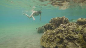Kvinna som snorklar i skyddsglasögon och hållande ögonen på exotisk fisksimning över korallreven i havet Flicka som snorklar i ge lager videofilmer Kvinna som snorklar i skyddsglasögon och hållande ögonen på exotisk fisksimning över korallreven i havet Flicka som snorklar i ge lager videofilmer
