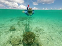 Kvinna som snorklar ovanför en sund korall med den lilla tropiska fisken fotografering för bildbyråer Kvinna som snorklar ovanför en sund korall med den lilla tropiska fisken fotografering för bildbyråer